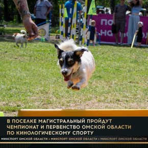 2 � 3 ��� � ������� ������������� ������� ��������� � ���������� ������ ������� �� ��������������� ������ � ����������� ���������-��������� � ���������-��������