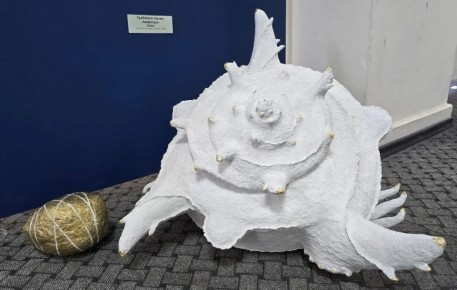 � ���� ��������� ��������� VI ��������� ��������-������� ������� ������ ����������