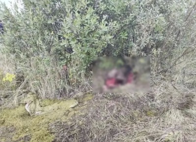 ��� ������ ������ ������� �������� ��������� � ���������� ����� �� ����