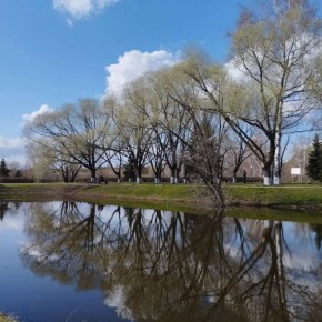 ������ ����, ������� �����!