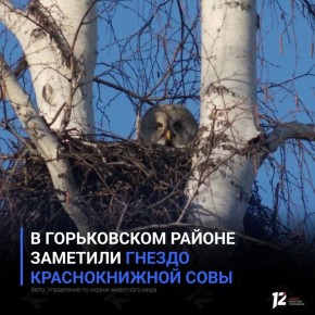 � ����������� ������ �������� ������ ������������� ����