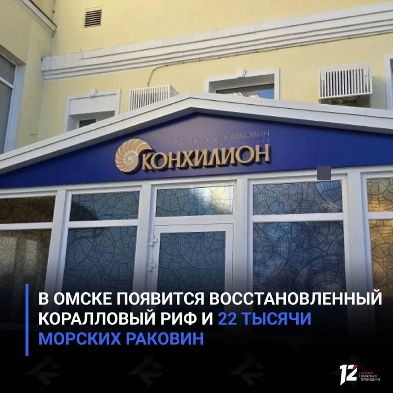 В Омске появится восстановленный коралловый риф и 22 тысячи морских раковин