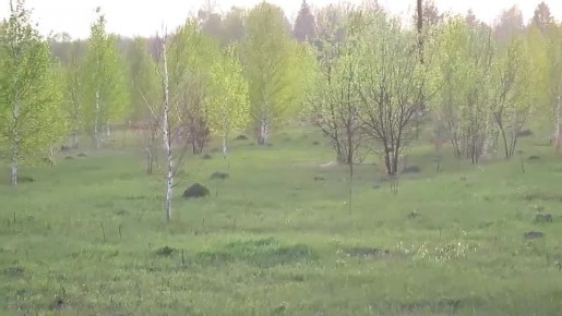 � ������ ������� ���������������� �����