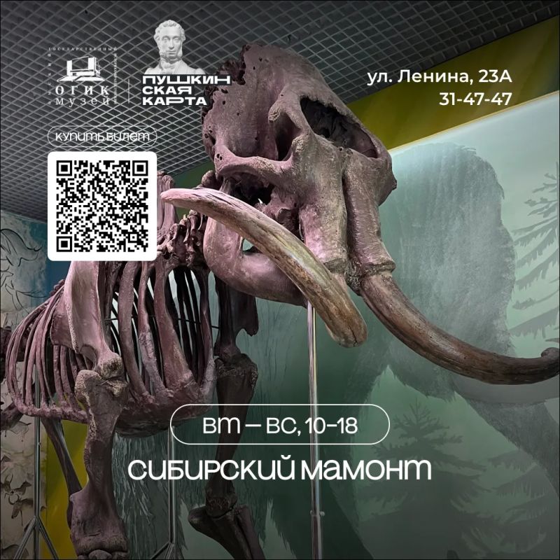 История ближе, чем кажется История ближе, чем кажется