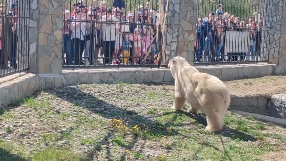 В Большереченском зоопарке показали царский завтрак Думки