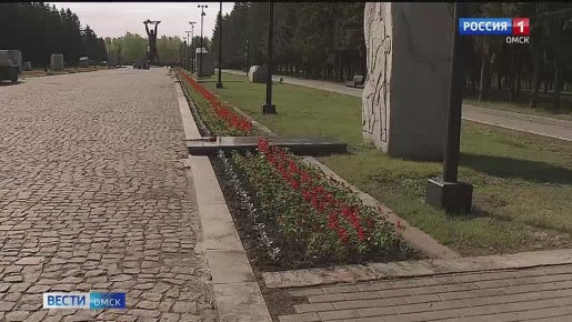����� 50 ����� ������ ������� � ����� � ����� 81-� ��������� ������