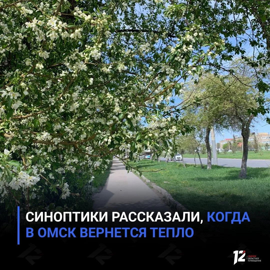 Синоптики рассказали, когда в Омск вернется тепло