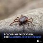 Россиянам рассказали, как защитить себя от клещей