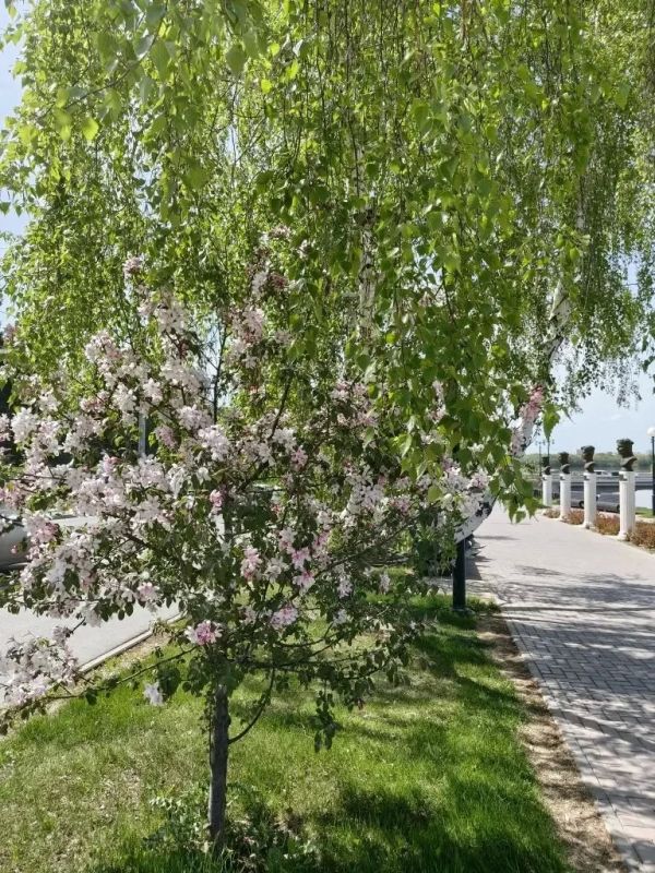 Доброе утро, омичи!. Как планируете провести этот крайний выходной? - отдохну и проведу время с близкими дома; - отправлюсь на прогулку/выберусь на природу; - займусь домашними делами и лежачим отдыхом Доброе утро, омичи!. Как планируете провести этот крайний выходной? - отдохну и проведу время с близкими дома; - отправлюсь на прогулку/выберусь на природу; - займусь домашними делами и лежачим отдыхом