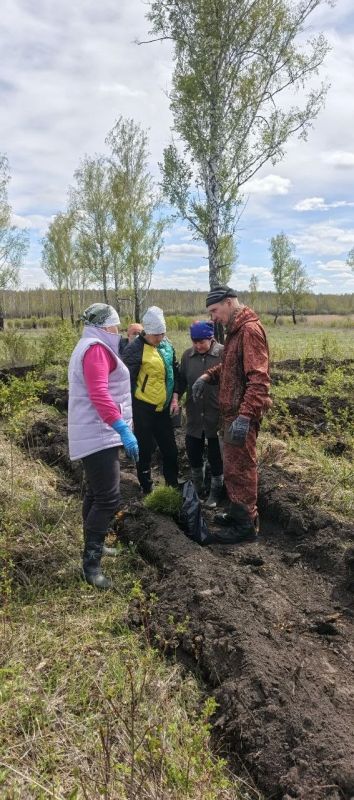 4000 сосен украсят Новологиновское сельское поселение в память о героях Великой Отечественной войны, сообщает «Новый вымпел» 4000 сосен украсят Новологиновское сельское поселение в память о героях Великой Отечественной войны, сообщает «Новый вымпел»