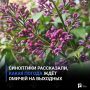 Синоптики рассказали, какая погода ждёт омичей на выходных