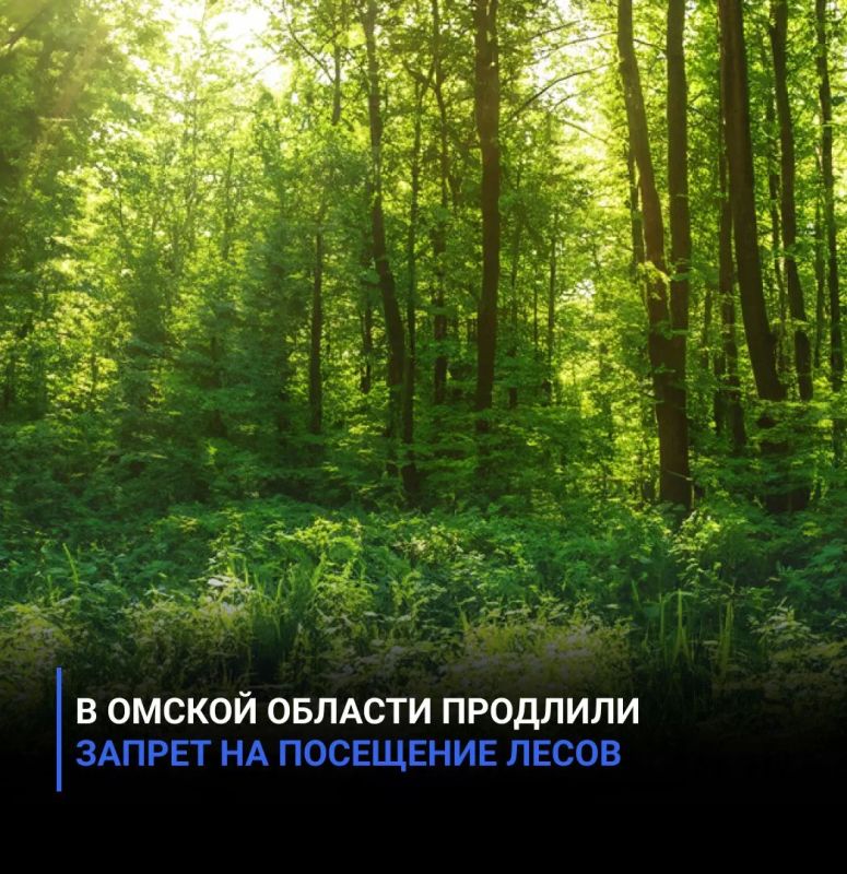 В Омской области продлили запрет на посещение лесов