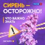 � ����� ����� ������ �������� ������