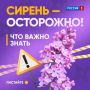� ����� ����� ������ �������� ������