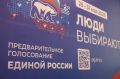 Виталий Хоценко сообщил о старте электронного предварительного голосования «Единой России»