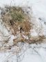 В Омской области перед судом предстанут пятеро обвиняемых в незаконной охоте