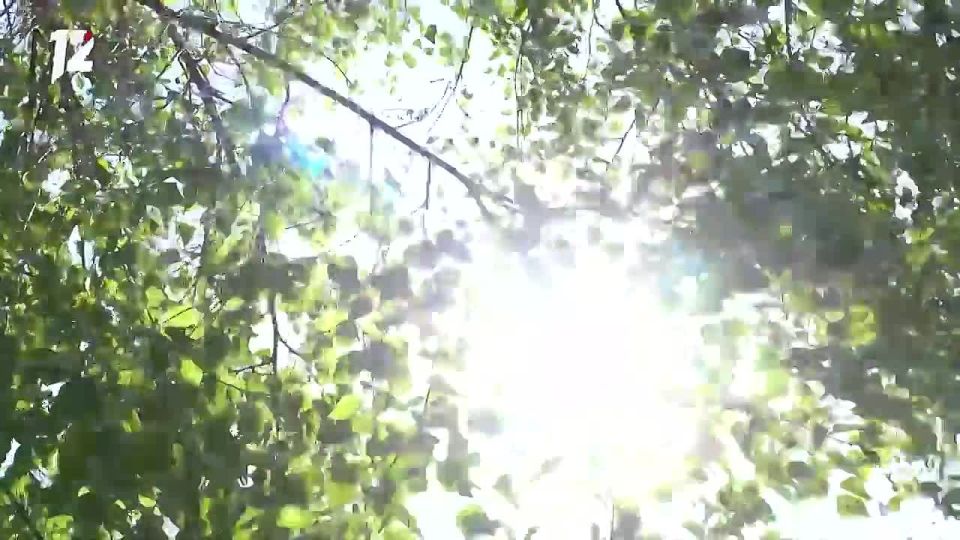 До конца недели в Омске будет по-настоящему жаркая погода: столбики термометров поднимутся до +31 градуса