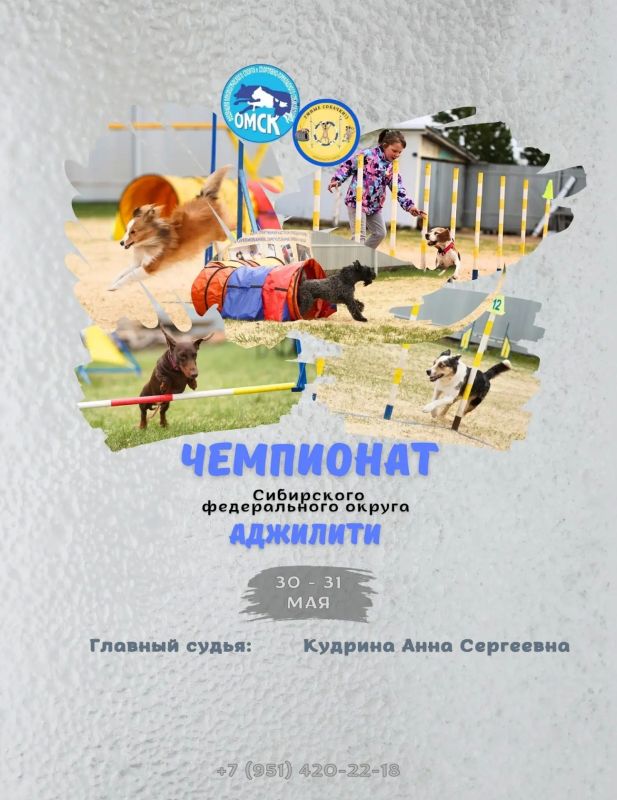В выходные в поселке Магистральный пройдет чемпионат Сибири по кинологическому спорту