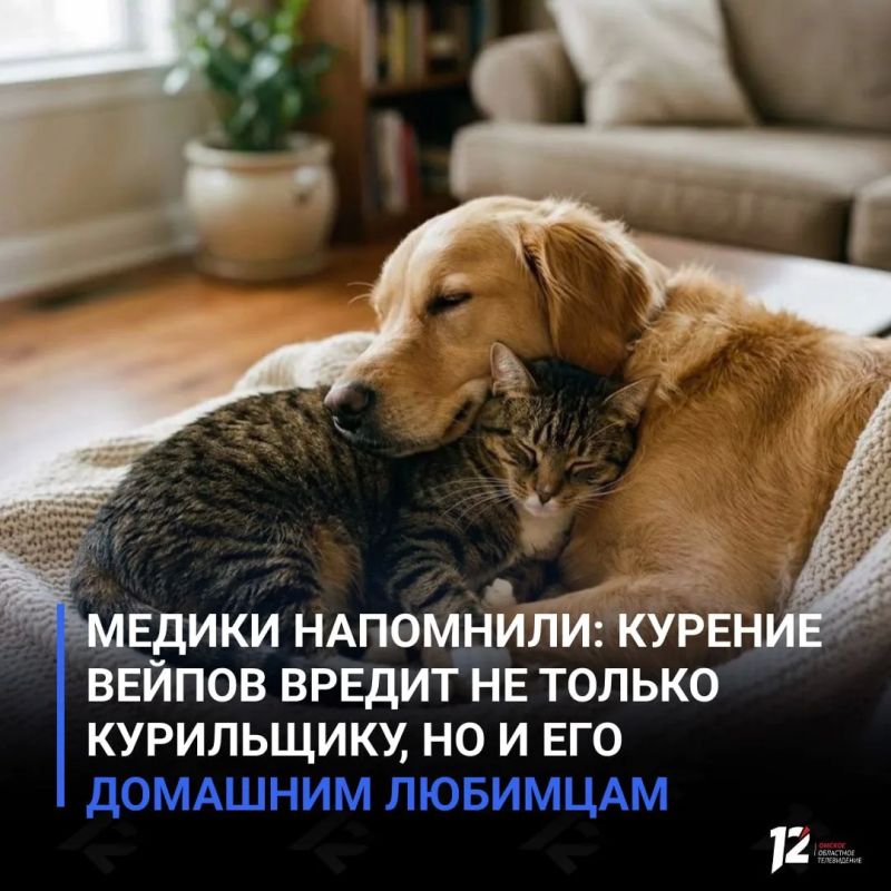 Медики напомнили: курение вейпов вредит не только курильщику, но и его домашним любимцам