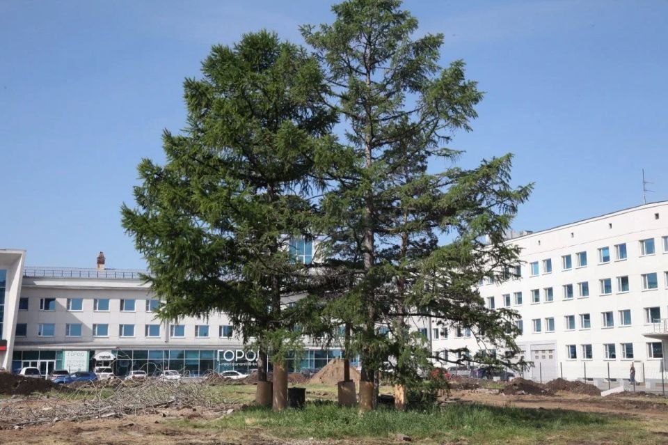 Благоустройство площади Бухгольца в Омске завершат к 1 сентября Благоустройство площади Бухгольца в Омске завершат к 1 сентября