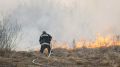 Омская область оказалась под угрозой лесных пожаров из-за жары