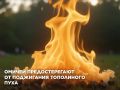 Омичей призывают не поджигать тополиный пух и быть предельно осторожными с огнем