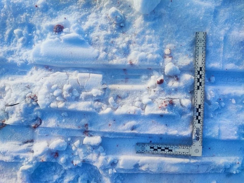 Омич предстанет перед судом за незаконную охоту на двух косуль в Крутинском районе Омич предстанет перед судом за незаконную охоту на двух косуль в Крутинском районе