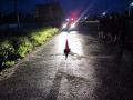 Вчера в 22:30 часов дежурную часть ОМВД России по Кормиловскому району поступило сообщение о ДТП с несовершеннолетними