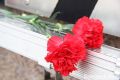 В возрасте 21 год скончался хоккеист Егор Ядыкин