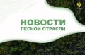 РИА Новости: В Рослесхозе рассказали, где будут бороться с американским кленом
