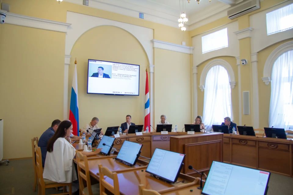 Профильный комитет обсудил вопросы предоставления многодетным семьям мер социальной поддержки Профильный комитет обсудил вопросы предоставления многодетным семьям мер социальной поддержки