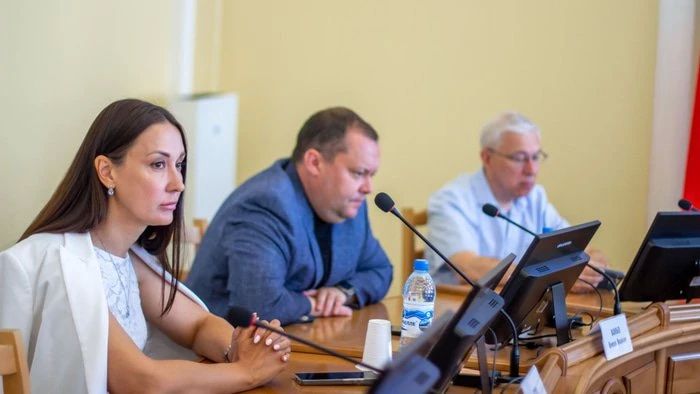 Бесплатные лекарства и проезд: областные парламентарии обсудили поддержку многодетных