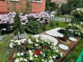 В Кировском округе стартовал прием заявок на участие в городском конкурсе «Омские улицы»