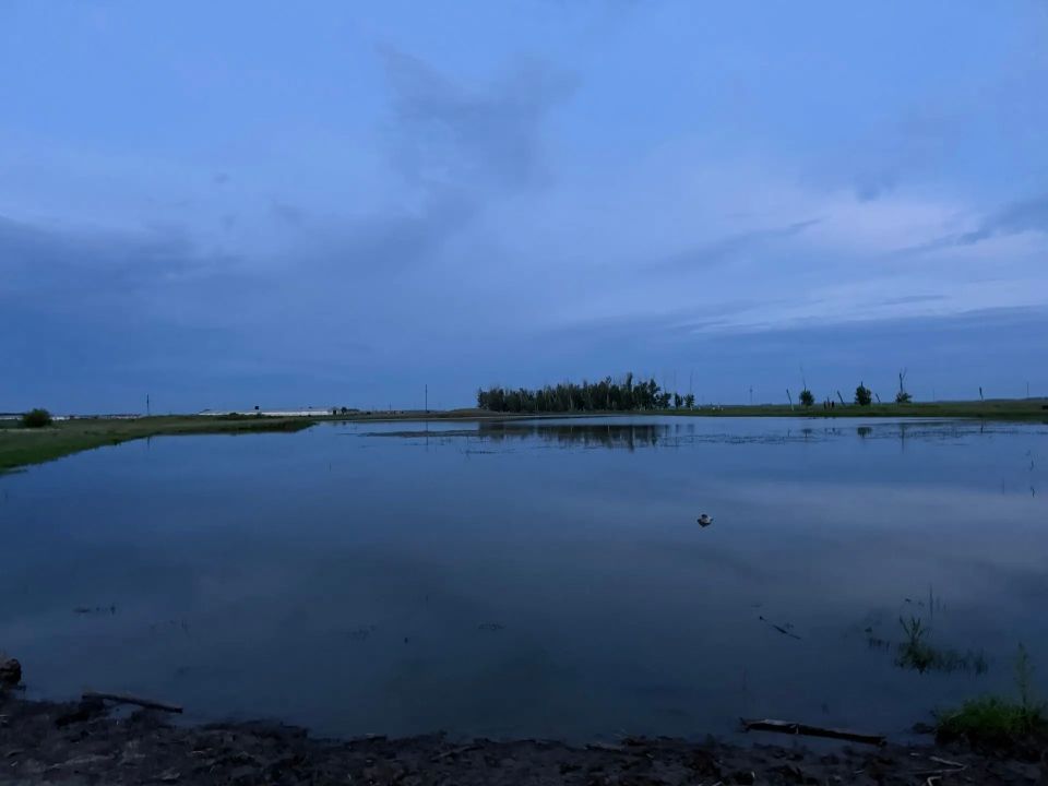 В Омской области возбуждено уголовное дело о несчастном случае на воде В Омской области возбуждено уголовное дело о несчастном случае на воде