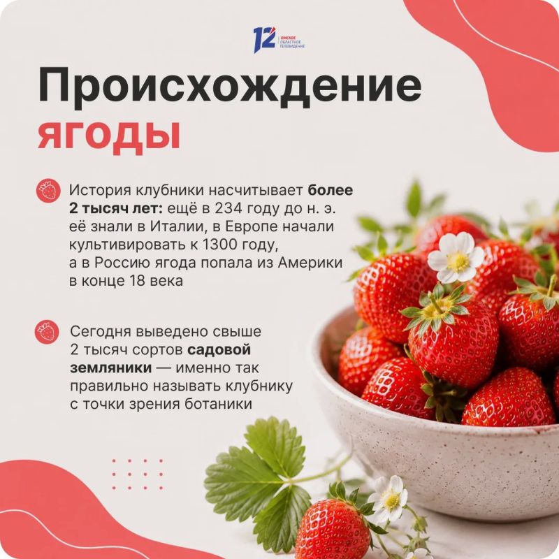 День клубники: интересные факты и рекомендации экспертов День клубники: интересные факты и рекомендации экспертов