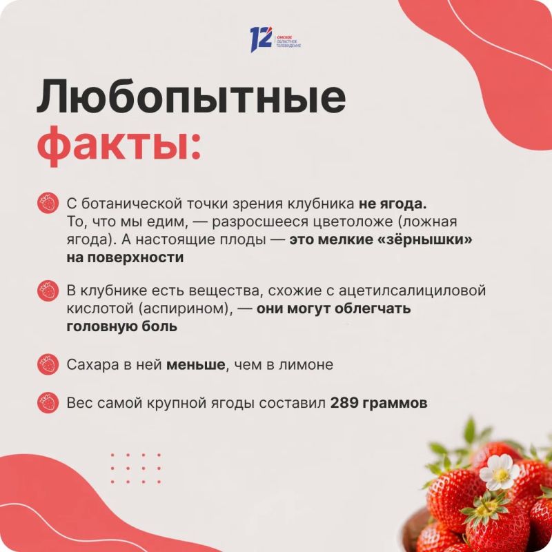 День клубники: интересные факты и рекомендации экспертов День клубники: интересные факты и рекомендации экспертов