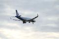 Дебошир с ножницами погиб во время рейса из Москвы в Омск