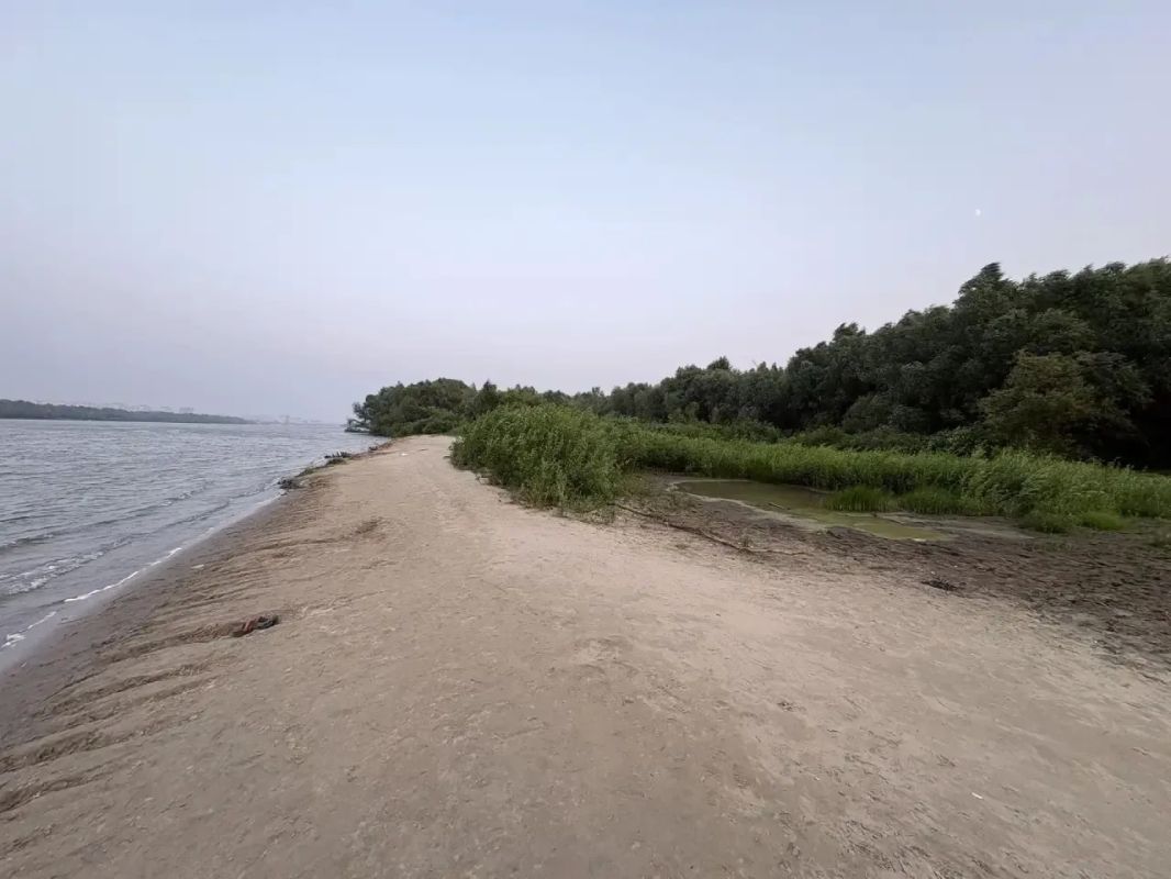 Сотрудники полиции выясняют обстоятельства несчастного случая на воде, в результате которого пропал ребенок