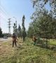 В Омске продолжаются работы по выкашиванию травы и поросли