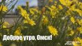 ������ ����, ����!. ������� ������� �� +29�C � ������������ ����� �������