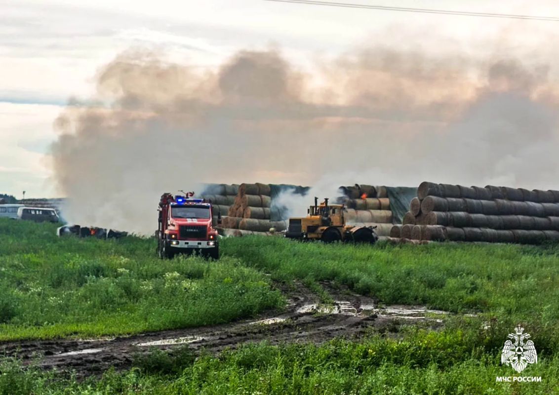 #пожарызасутки. 01 июля в 16:46 В Нижнеомском районе в селе Глухониколаевка горело сено #пожарызасутки. 01 июля в 16:46 В Нижнеомском районе в селе Глухониколаевка горело сено