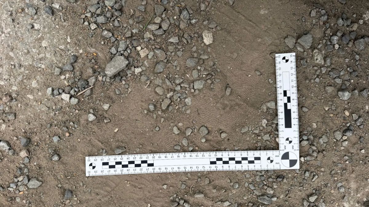 В Кормиловском районе расследуется уголовное дело об угоне двух автомобилей В Кормиловском районе расследуется уголовное дело об угоне двух автомобилей