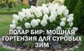 ��������� ����� ���: ��������� ���� ��� ������ ���� � ������� � �����