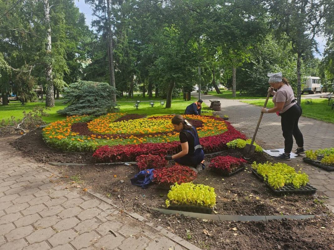 В Омске высадят еще две тысячи деревьев и кустарников