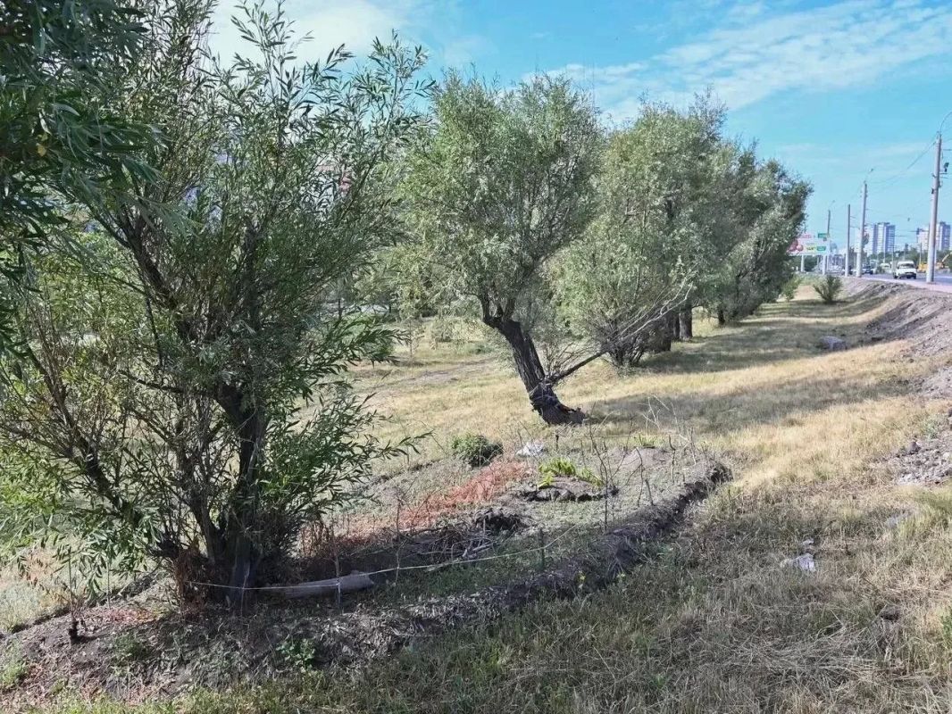 В Омске продолжается ремонт улицы Лукашевича В Омске продолжается ремонт улицы Лукашевича