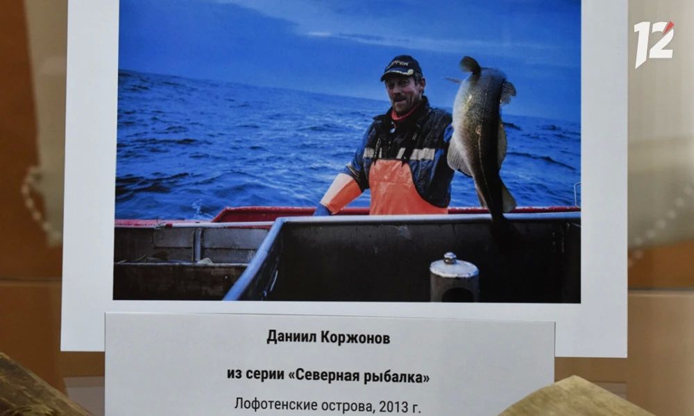 Омичи, уставшие от летней жары, могут полюбоваться айсбергами и северными оленями в музее Просвещения Омичи, уставшие от летней жары, могут полюбоваться айсбергами и северными оленями в музее Просвещения