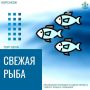 Свежее поступление наваги и камбалы по выгодным ценам