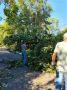 В Советском парке устраняют последствия вчерашней непогоды