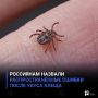 Россиянам назвали распространённые ошибки после укуса клеща