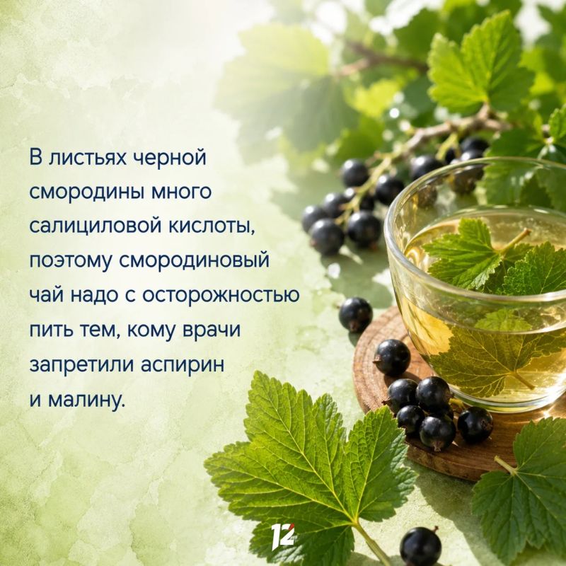 Сегодня вкусный праздник — День смородины Сегодня вкусный праздник — День смородины